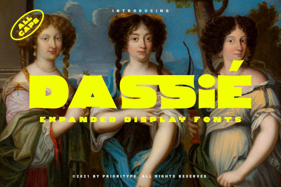 How Dassie Display Font Elevated My Small Business Brand