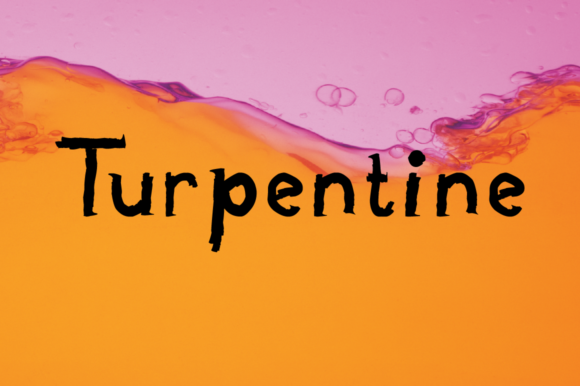 Turpentine: A Designer's Hands-On Review for Real Projects
